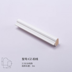 CZ-扣线  3000mm