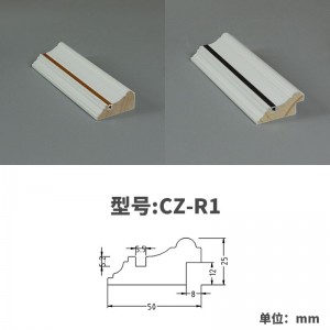 CZ-R1 2440mm