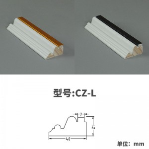 CZ-L 3000mm