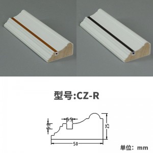 CZ-R 3000mm