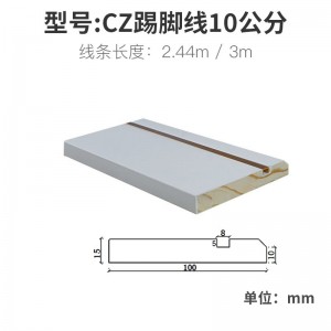 CZ10公分 金 2440mm