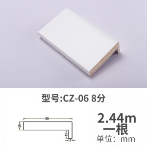 CZ-06 2.44m