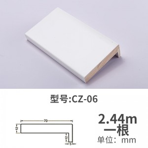 CZ-06 8分 2.44m