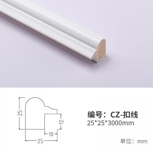 CZ-扣线
